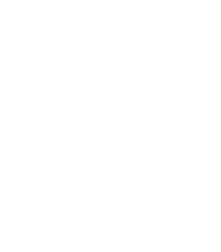 Logo Schwarzach